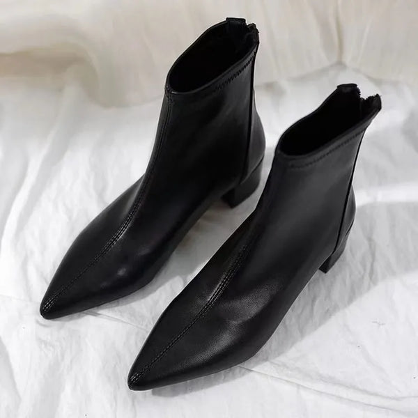 Pointed Ankle Boots